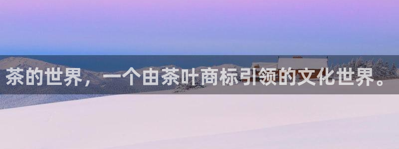 金年会菲律宾
