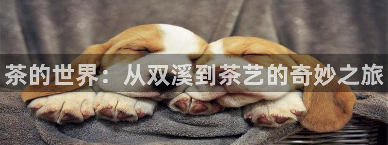 金年会app