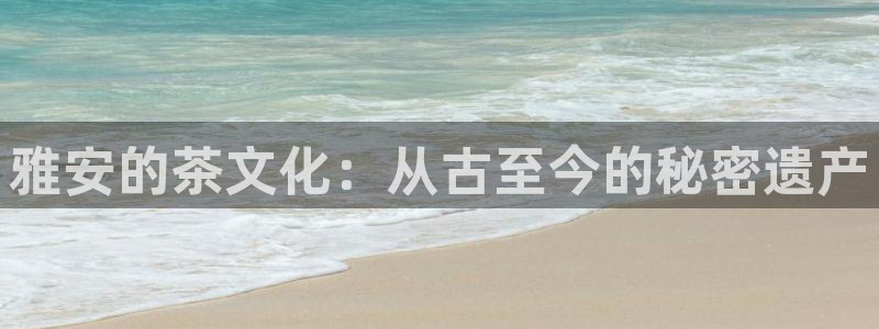 金年会平台是什么