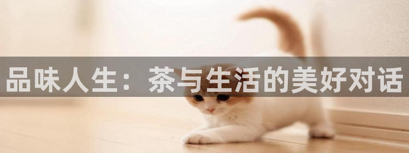 澳门金年会棋牌