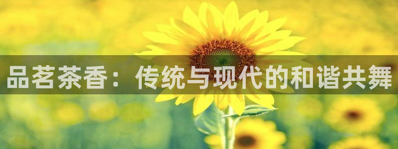 金年会体育平台官网