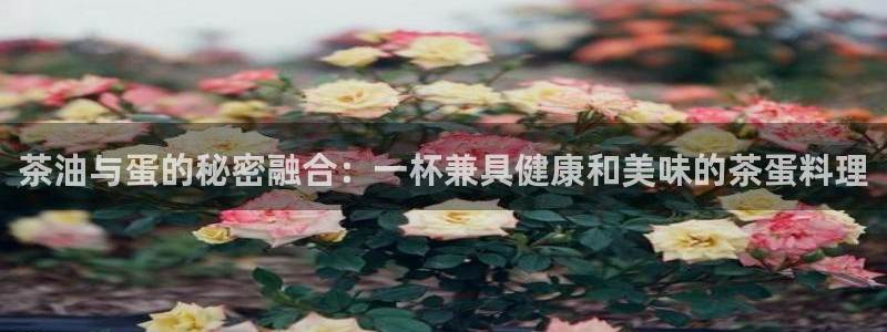 世界杯金年会app下载