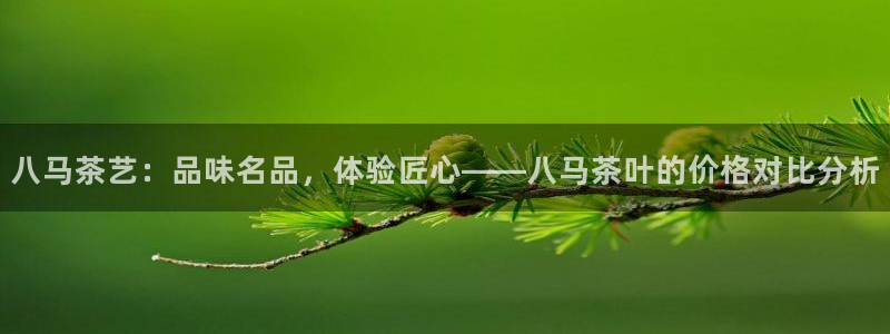 金立年会
