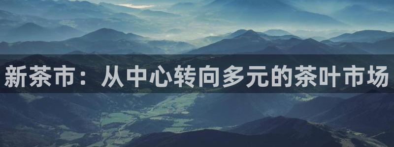 金年会金年华