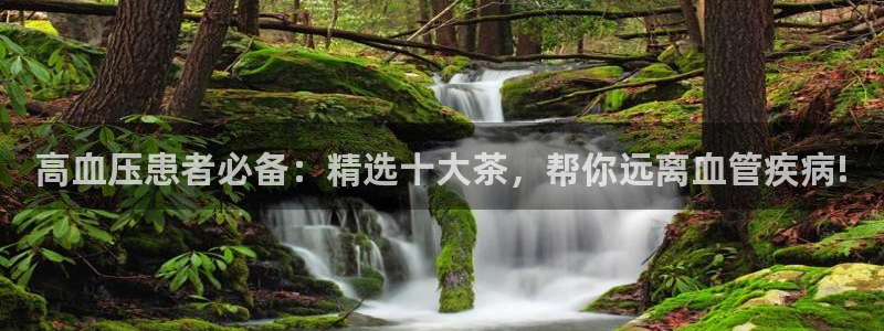 金辉城年会视频