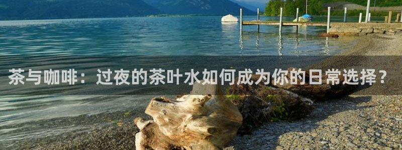 金年会电子游戏