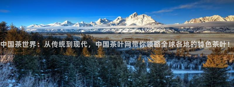 金年会在线下载