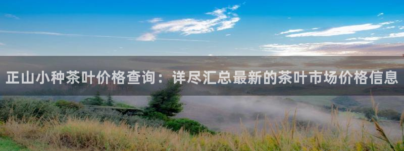 今年会送彩金28