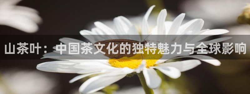 金年会这个平台