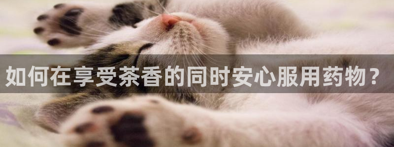 金诚集团年会