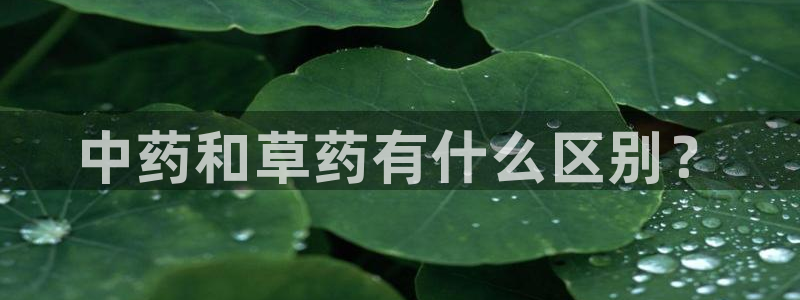 金年会能提款吗