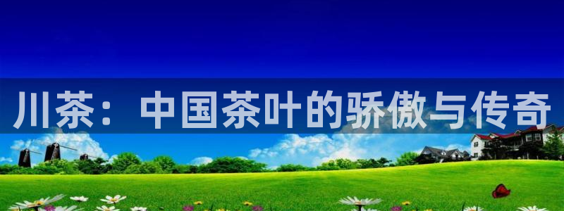 金年会娱乐官网