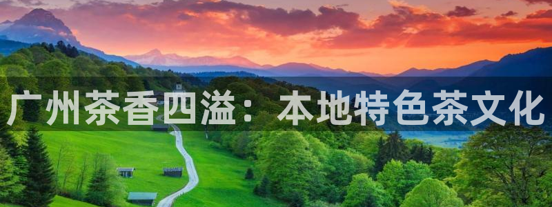 金年会官网app