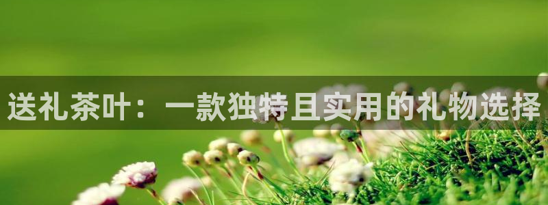 金帆年会2019