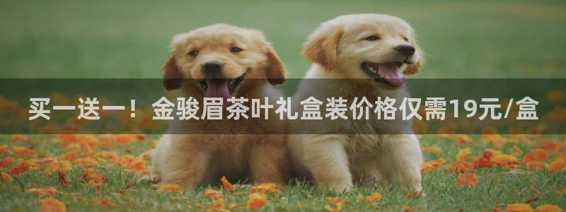 金年会全站app
