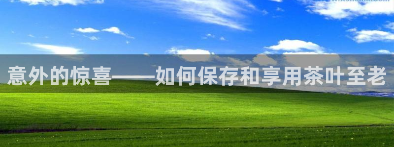 金哥年会