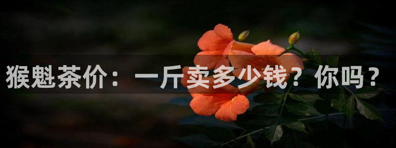金年会登陆