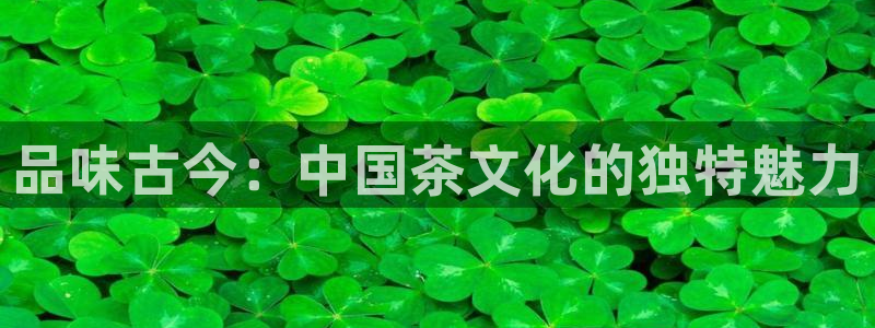 金年会电子游戏