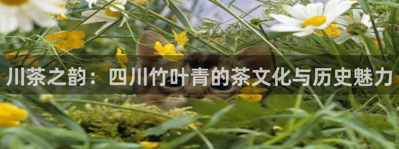 金年会取款