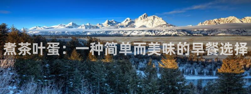 金年会黑平台