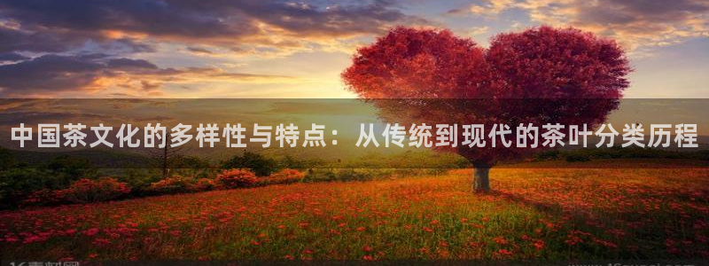 金年会游戏官网