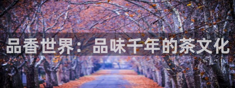 金年会手机官网