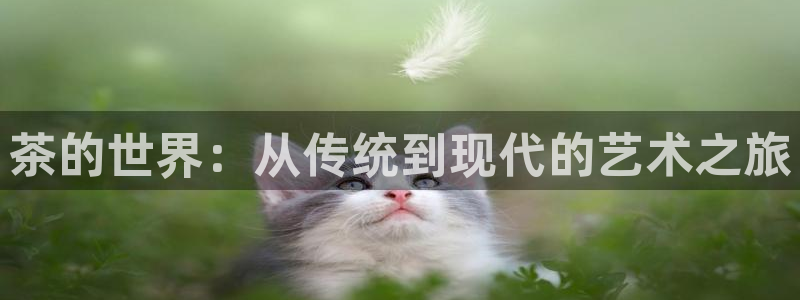 金年会6766001