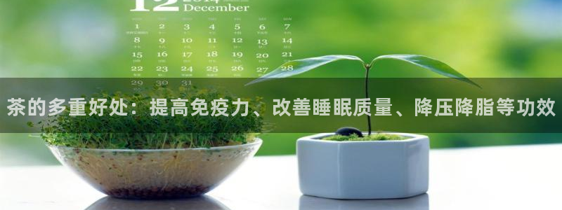 金立年会