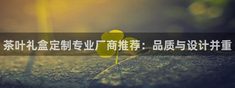 金辉城年会视频