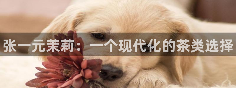 金年会体育金年会官网