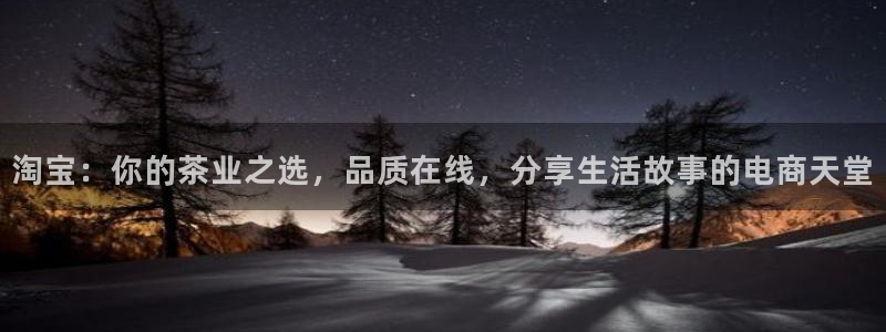 金年会app下载官网