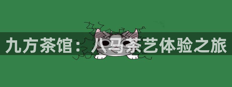 今年会金年会