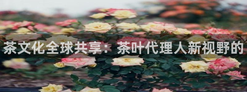 金年会网页版登陆