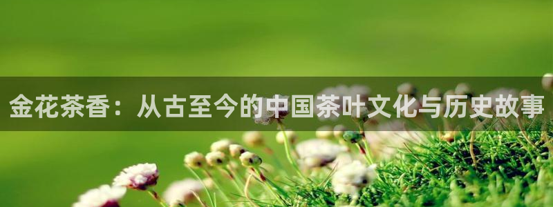 金年会国际
