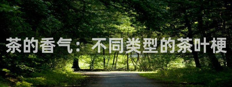 金年会安装