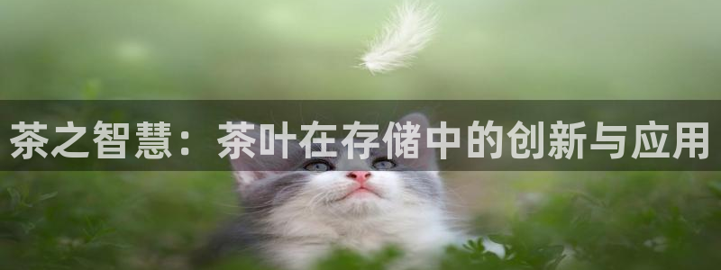 澳门金年会棋牌