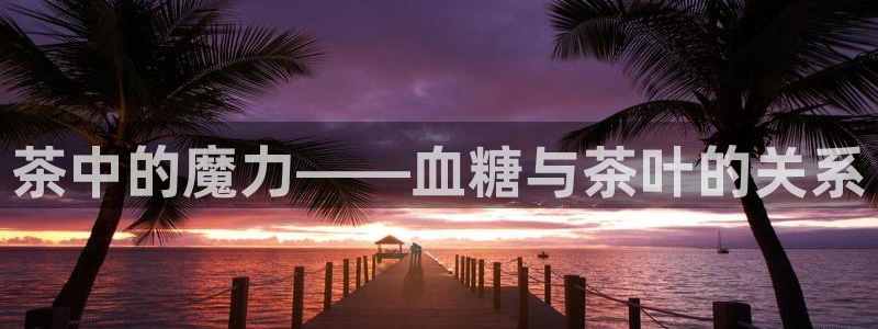 金顶年会