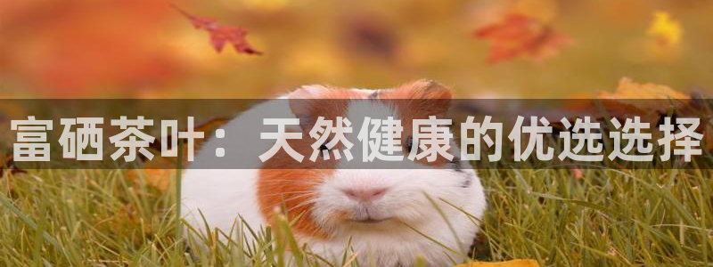 金年会彩票下载app
