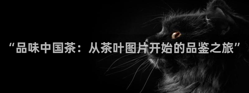 金年会是正规平台吗