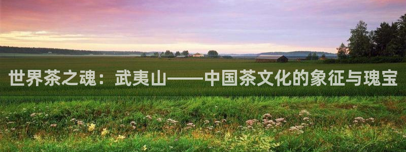 年会金