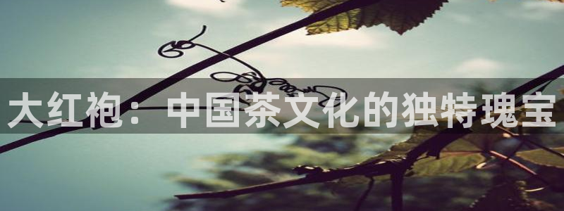 jinnian金年会