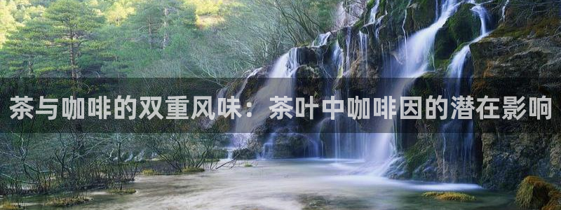 金年会菲律宾