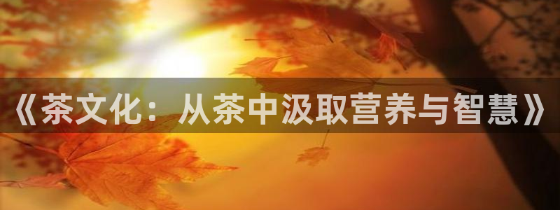 金年会体育平台官网
