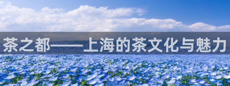 金年会综合APP
