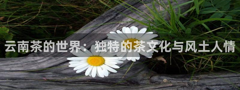 金年会娱乐和马竞