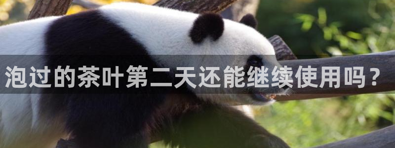 金哥年会