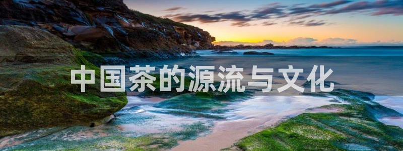 金年会这个平台