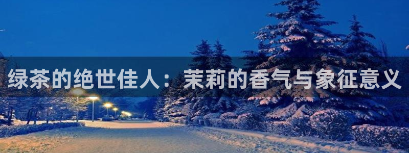 金年会软件之家下载