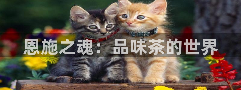 金年会官网入口