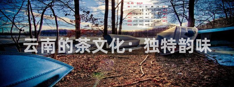 金年会体育苹果下载